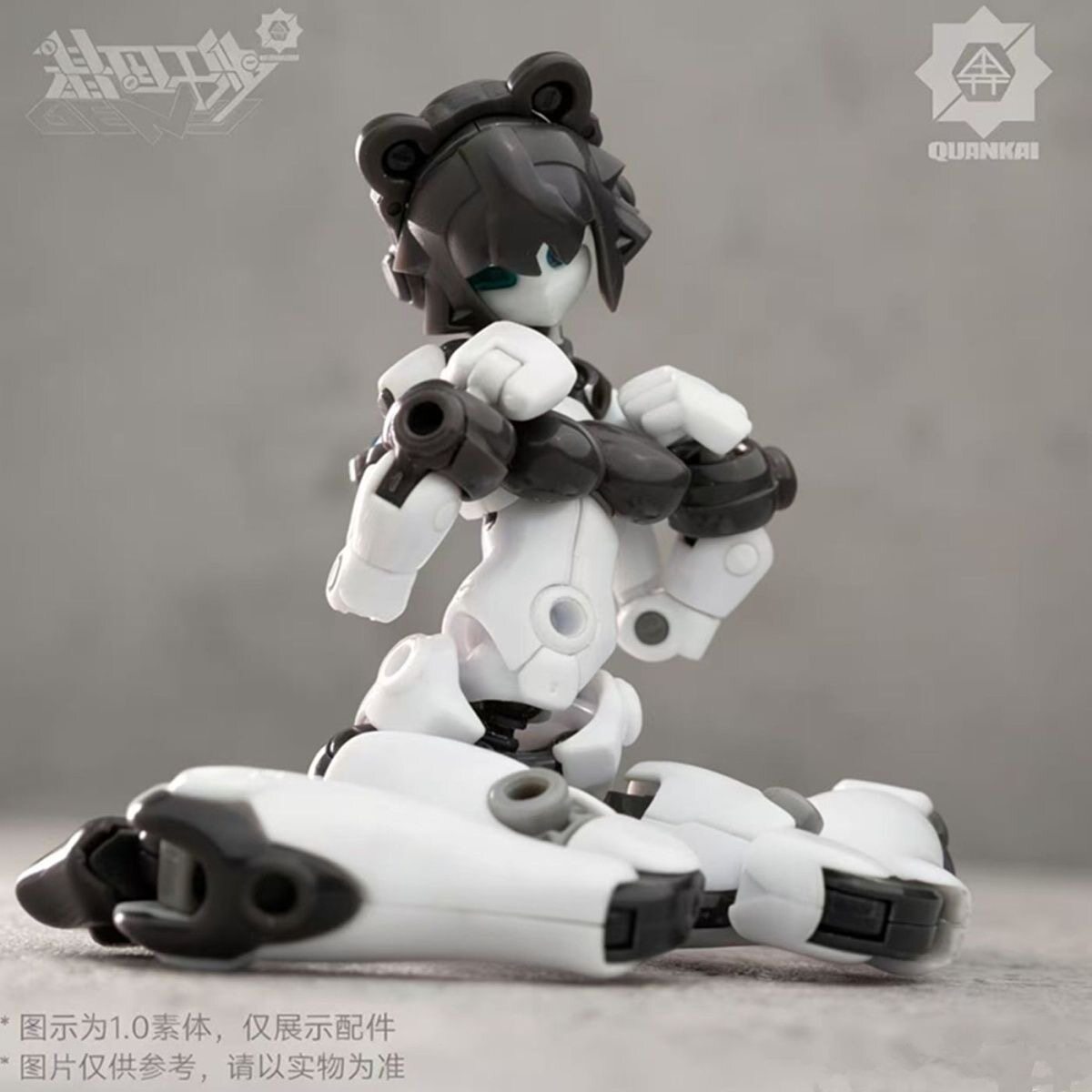 Model Kit China - Kit Gene Interference Series Quankai Domini