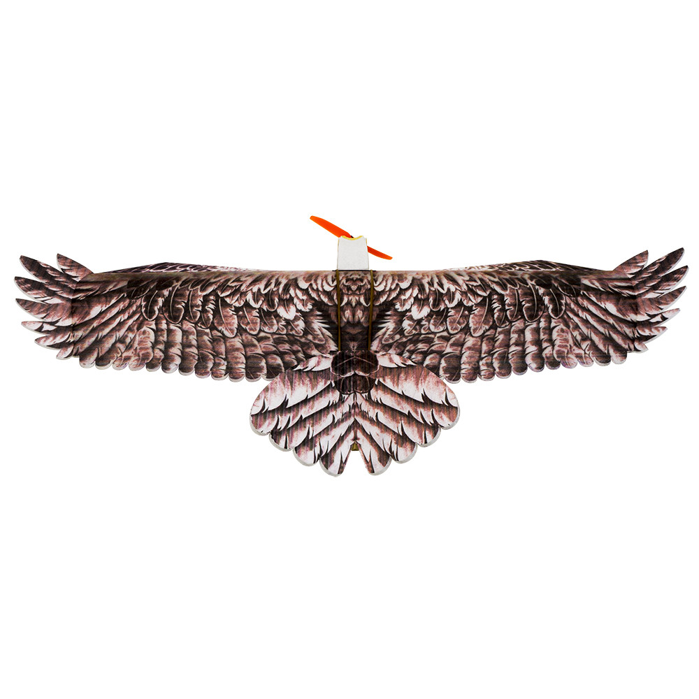 Pesawat RC DW Hobby Eagle II E - Model Kit Expert ulasan dan harga