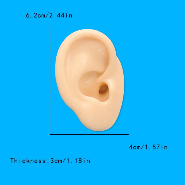 1 buah anting-anting Model tel - Model Kit Display Case ulasan dan harga